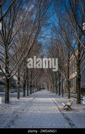 Eco-quartiere. Vista dell'allineamento di alberi e panchine metalliche lungo un sentiero sotto la neve in un parco Foto Stock