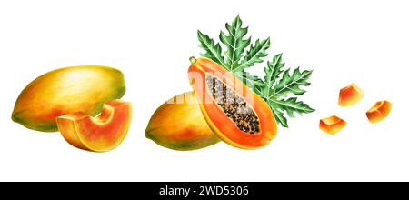 Marcatore di composizione dolce matura con fette, mezza papaya e foglie tropicali in stile acquerello. Realistico e gustoso pennarello disegnato a mano di esotici Foto Stock