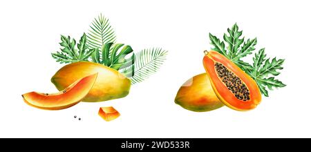 Marcatore di composizione dolce matura con fette, mezza papaya e foglie tropicali in stile acquerello. Realistico e gustoso pennarello disegnato a mano di esotici Foto Stock