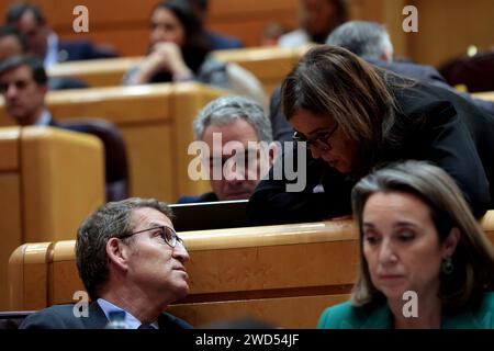 Madrid, spagnolo. 18 gennaio 2024. Madrid Spagna; 01/18/2024.- Pedro Sánchez, presidente della Spagna, i capi del Congresso spagnolo ratificano la riforma della Magna carta per bandire il termine "disabili" quella che sarà la terza riforma della Magna carta, poiché la sua approvazione nel 1978 non ha ottenuto il pieno sostegno a causa del rifiuto del partito politico di estrema destra Vox, i cui approcci testardi in materia di uguaglianza hanno portato i deputati a votare contro questo progresso sociale. Alberto Nuñez Feijóo leader Partito Popolare PP (L) foto: Juan Carlos Rojas credito: dpa/Alamy Live News Foto Stock