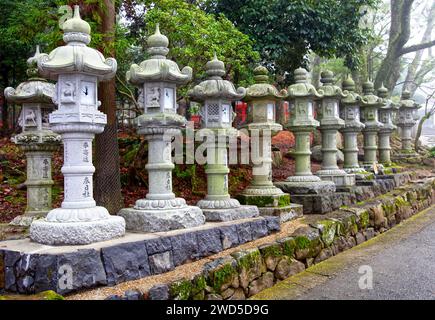 Moss ha coperto le Lanterne di pietra a Kasuga Taisha o Kasuga Grand Shrine a Nara, Giappone. Foto Stock