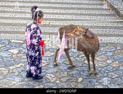 Giovane ragazza vestita con Kimon e abiti tradizionali giapponesi con un cervo al Kasuga Taisha o al grande Santuario di Kasuga a Nara, Giappone. Foto Stock