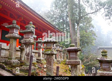 Moss ha coperto le Lanterne di pietra a Kasuga Taisha o Kasuga Grand Shrine a Nara, Giappone. Foto Stock