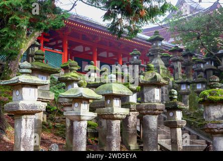 Moss ha coperto le Lanterne di pietra a Kasuga Taisha o Kasuga Grand Shrine a Nara, Giappone. Foto Stock