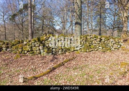 Vecchio muro di pietra con muschio verde in un bellissimo paesaggio rurale in primavera, Svezia Foto Stock