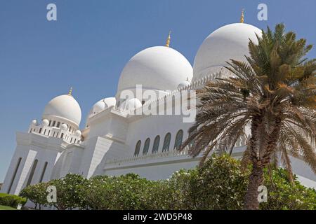 Cupole della grande Moschea dello sceicco Zayed, Abu Dhabi, Emirati Arabi Uniti Foto Stock