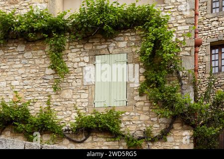 Facciata di una vecchia casa con persiane e viti (Vitis) che cresce sul muro di pietra naturale a la Roque-sur-Ceze, dipartimento Gard, regione Occitania Foto Stock