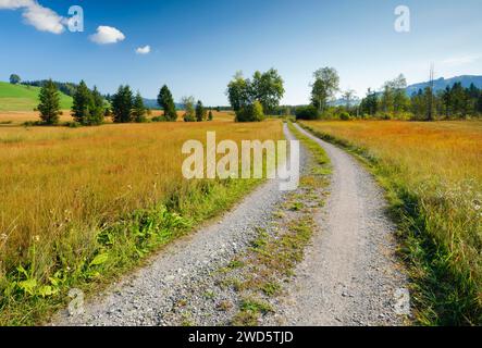 La strada di campagna conduce attraverso la brughiera di Rothenthurm, Schwyz, Svizzera Foto Stock