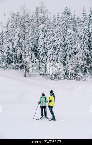 Due sciatori si trovano su una pista innevata ai margini della foresta Foto Stock