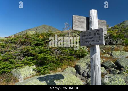 Cartello in legno per sentieri stagionati sullo Star Lake Trail, New Hampshire, Stati Uniti. La vetta del Monte Madison può essere vista sullo sfondo. Foto Stock
