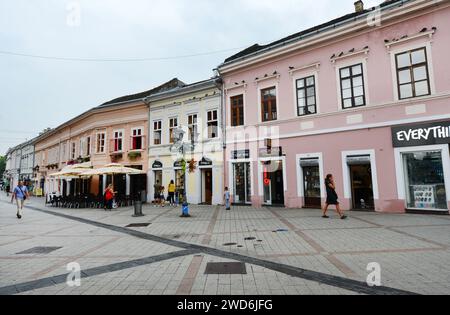 Strada pedonale Dunavska nella città vecchia di Novi Sad, Serbia. Foto Stock