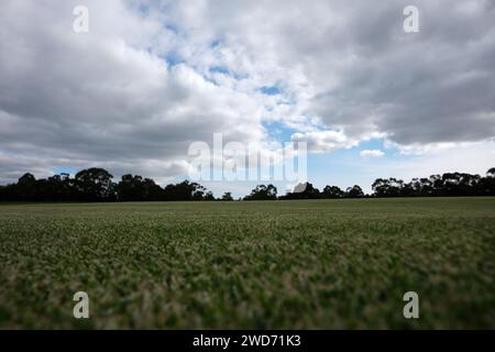 Campo sportivo erboso dal basso con alberi e nuvole nel cielo in lontananza Foto Stock