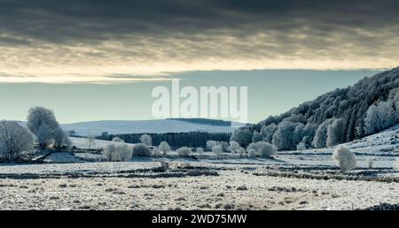 Un paesaggio invernale panoramico con alberi lussureggianti sul fianco della collina. Lozere, Francia Foto Stock