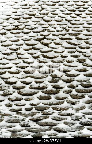 Un tetto piastrellato di un edificio coperto di neve. Aubrac, Francia Foto Stock