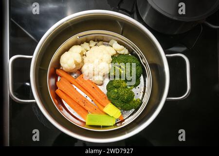 Verdure miste in un cestello per vaporiera in un recipiente di acciaio inossidabile, la tecnica di cottura salutare che conserva minerali, vitamine e sapore, vista dall'alto Foto Stock