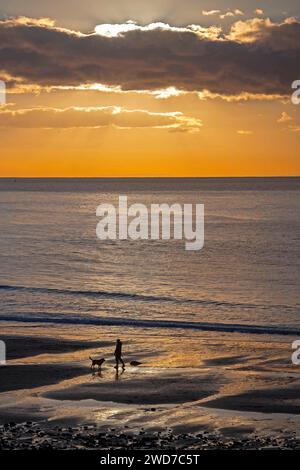 Swansea, Regno Unito. 19 gennaio 2024. Gente che cammina i cani sulla spiaggia di Langland vicino a Swansea in una gelida mattinata di gennaio. Crediti: Phil Rees/Alamy Live News Foto Stock