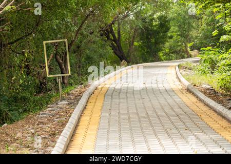 Immergiti nella serenità della natura con questa foto di un lungo e tortuoso sentiero che attraversa una vibrante distesa di verde Foto Stock