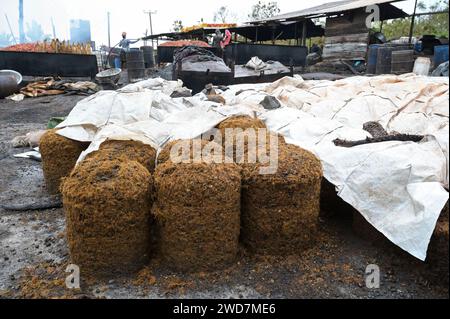 GHANA, Kwae, piccola unità rurale di trattamento dell'olio di palma, uso di combustibile dai rifiuti di Oilpalms / GHANA, kleine lokale Palmöl Mühle, Nutzung von Brennstoffen aus Ölpalmenresten Foto Stock