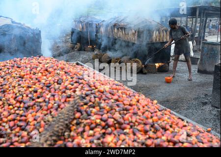 GHANA, Kwae, piccola unità rurale di trattamento dell'olio di palma, uso di combustibile proveniente dai rifiuti di palme da olio, fagioli di palma da olio o chicchi per l'estrazione dell'olio di palma / GHANA, kleine lokale Palmöl Mühle, Nutzung von Brennstoffen aus Ölpalmenresten, Ölpalmkerne zum Auskochen des Palmfetts Foto Stock