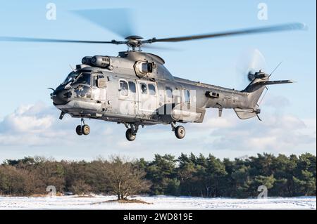 Un elicottero militare Eurocopter AS532 Cougar del 300th Squadron della Rpyal Netherlands Air Force. Foto Stock