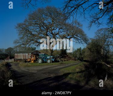 Pitsham Farm, Midhurst, West Sussex, Regno Unito. Si pensa sia stata la prima fonte di BSE nel Regno Unito nel 1984. Malattia della mucca pazza. Foto Stock