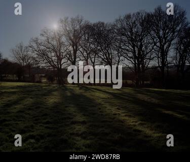 Pitsham Farm, Midhurst, West Sussex, Regno Unito. Si pensa sia stata la prima fonte di BSE nel Regno Unito nel 1984. Malattia della mucca pazza. Foto Stock