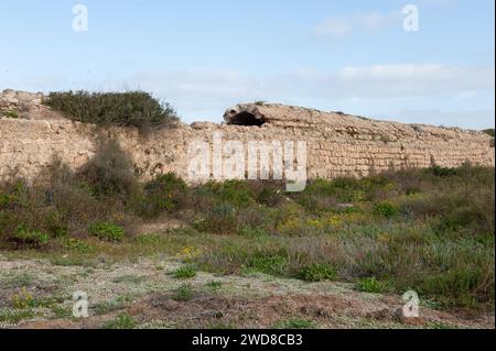 Archi in pietra e abutment dell'acquedotto Adriano del Parco Nazionale di Caesarea Maritima lungo la costa mediterranea di Israele. Foto Stock