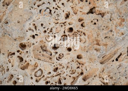 Dettaglio del rivestimento delle pareti per cassaforma in calcestruzzo struttura porosa Foto Stock