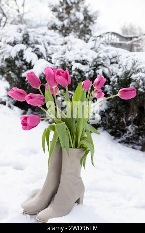 bouquet di tulipani rosa appena tagliati con leggeri stivali da donna con tacco alto che si stagliano su neve bianca appena caduta Foto Stock