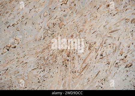 Dettaglio della cassaforma in calcestruzzo rivestimento delle pareti struttura astratta porosa, messa a fuoco selettiva Foto Stock