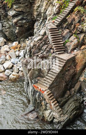 Passi a Riomaggiore, cinque Terre, Italia, verso il mare. Foto Stock