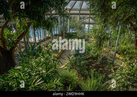 Gewächshaus Afrikanische Sukkulenten, Botanischer Garten, Lichterfelde, Steglitz-Zehlendorf, Berlino, Deutschland Foto Stock