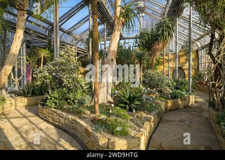 Gewächshaus Afrikanische Sukkulenten, Botanischer Garten, Lichterfelde, Steglitz-Zehlendorf, Berlino, Deutschland Foto Stock