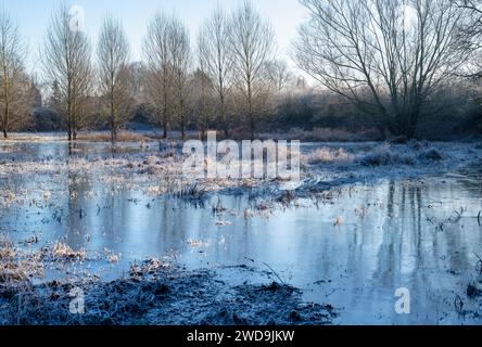 Campo allagato congelato durante il gelo di gennaio. Upton Upon Severn, Worcestershire, Inghilterra Foto Stock