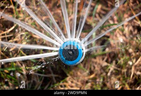 Irrigatore automatico. Innaffiare il prato con un sistema di irrigazione automatico. Giardinaggio. Vista dall'alto. Foto Stock