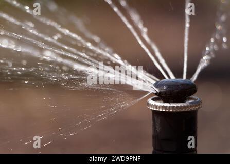 Sistema sprinkler automatico che innaffia il prato su uno sfondo di erba verde. Primo piano. Giardinaggio e cura della legge. Vista laterale. Foto Stock