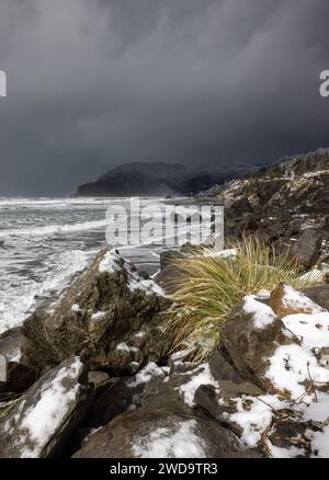 La spiaggia di Myers creek proprio sul lato dell'autostrada 101 coperta di ghiaccio e neve dopo una rara tempesta invernale ha portato la neve sulla costa meridionale dell'Oregon verso la fine di febbraio Foto Stock