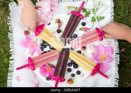 I bambini si avvicinano ai coloratissimi ghiaccioli fatti in casa su una coperta da picnic con frutti di bosco e fiori, una delizia estiva all'aperto, un momento divertente di vita in famiglia Foto Stock