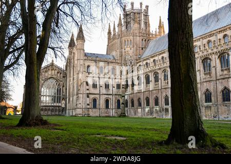 Cattedrale di Ely Foto Stock