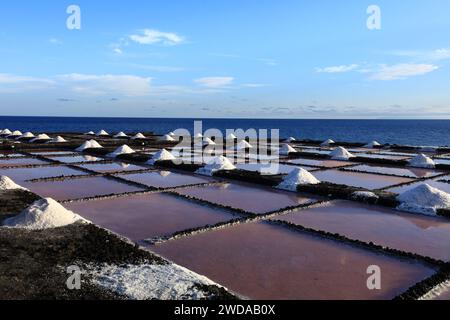 Il sito di interesse scientifico di Las Salinas de Fuencaliente è uno spazio protetto situato nell'isola di la Palma Foto Stock