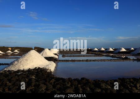 Il sito di interesse scientifico di Las Salinas de Fuencaliente è uno spazio protetto situato nell'isola di la Palma Foto Stock