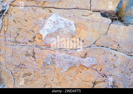 Fotografia di Ernst Tinaja ed è una geologia molto bella. Big Bend National Park, Texas, Stati Uniti. Foto Stock