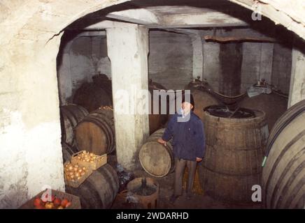 Tifesti, Contea di Vrancea, Romania, 2000. Enologo locale all'interno della sua cantina piena di botti nel seminterrato della sua casa. Foto Stock