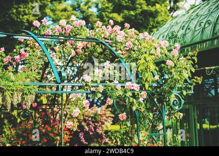 Splendido arco floreale con rose nel giardino estivo Foto Stock