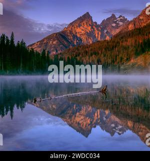 Lago di stringa, Monte Teewinot, le cattedrali, Grand Teton National Park, Wyoming Foto Stock