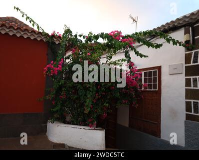 Garachico è un comune e una città sulla costa settentrionale di Tenerife, a circa 52 km a ovest della capitale Santa Cruz de Tenerife Foto Stock