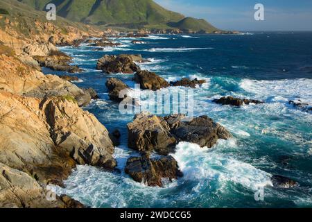 Costa rocciosa, Garrapata State Park, Big Sur Coast Highway Scenic Byway, California Foto Stock