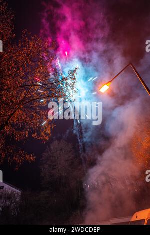 I colorati fuochi d'artificio esplodono su un albero e illuminano il cielo notturno, Stoccarda Birkach, Germania Foto Stock