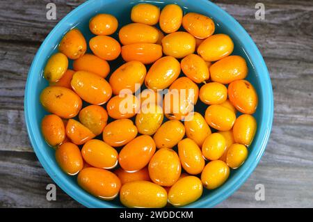 Kumquat, cumquats, un gruppo di piccoli alberi angiospermi, fruttiferi della famiglia Rutaceae, arancio dorato, un frutto commestibile ricorda molto l'ora Foto Stock