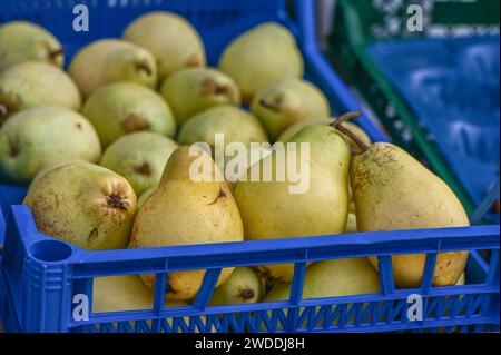 pere in una scatola vicino a un negozio nel villaggio Foto Stock